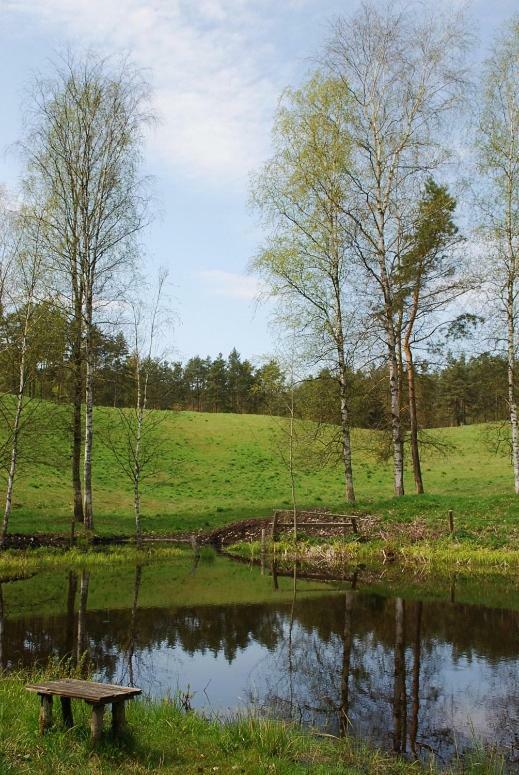 Pod Kogutkiem Villa Kruklanki Kültér fotó